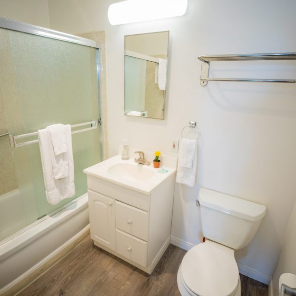 Please send us your request information and we will contact you as soon